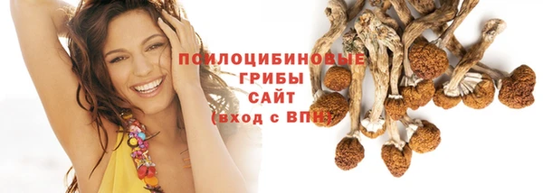 стафф Нязепетровск