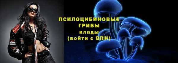 стафф Нязепетровск