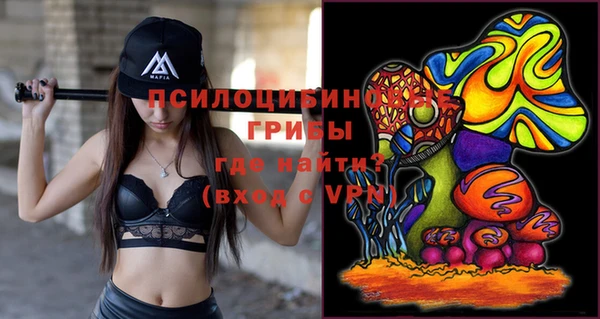 альфа пвп Няндома
