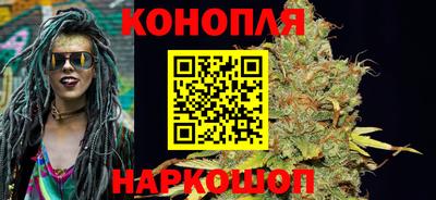 стаф Будённовск