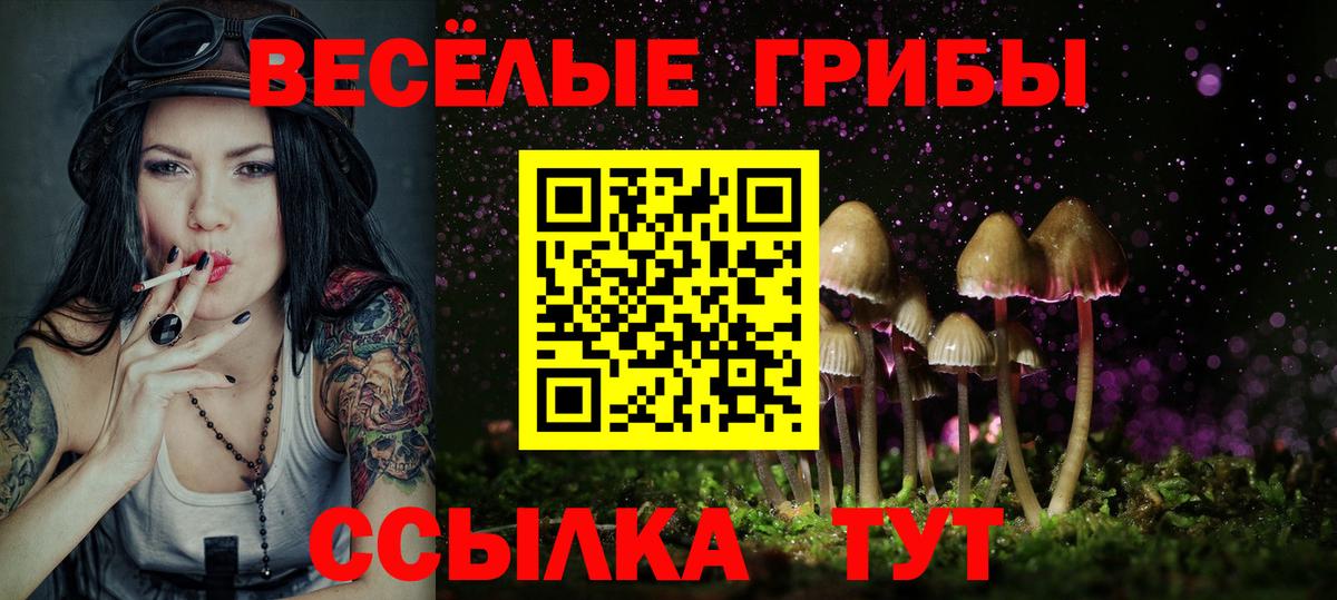 Псилоцибиновые грибы MAGIC MUSHROOMS  Псилоцибиновые грибы прущие грибы  Вход с VPN  Люберцы 