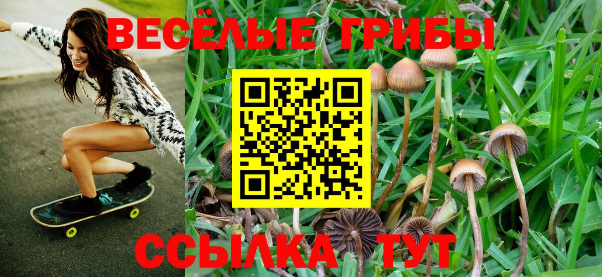 Псилоцибиновые грибы GOLDEN TEACHER Люберцы